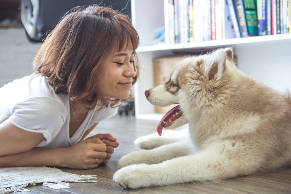 Pet Ownership Can Benefit Your Emotional Wellbeing And Bring Joy To Your Life