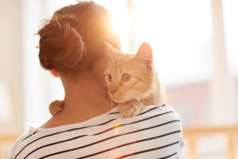 Can Cats Get Separation Anxiety?