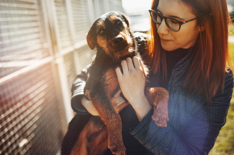 Payment Options at Sunrise Boulevard Animal Hospital