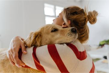 Calm Cats, Cool Canines: Minimizing Firework Stress for Your Beloved Pets