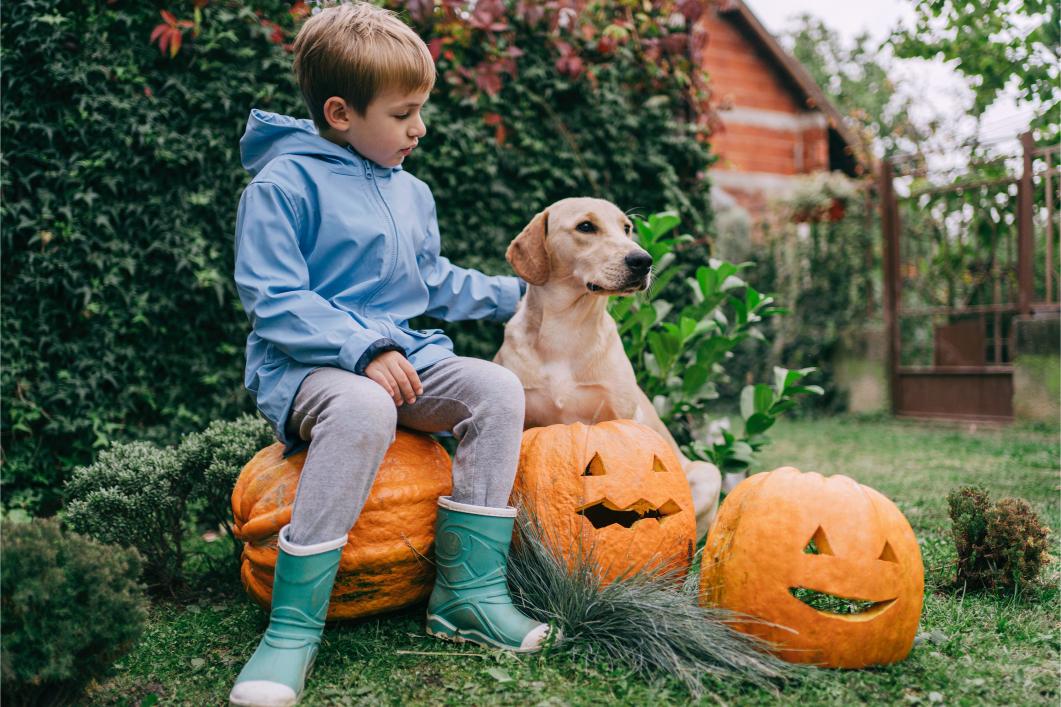 Pet Safety Guide for a Fun and Fear-Free Halloween