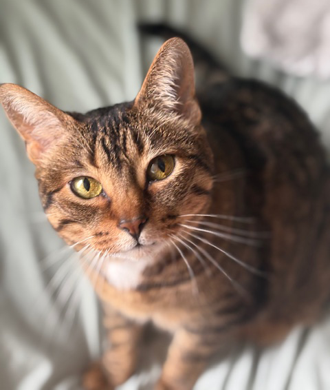 Taylor , CSR Taylor , CSR